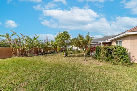 A home in WIMAUMA