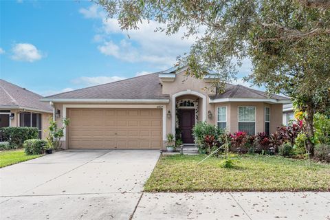 A home in WIMAUMA