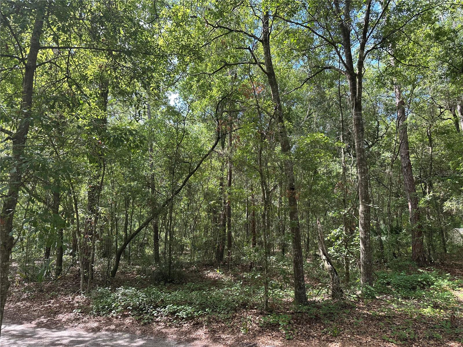 THREE LAKES ESTATE - Land