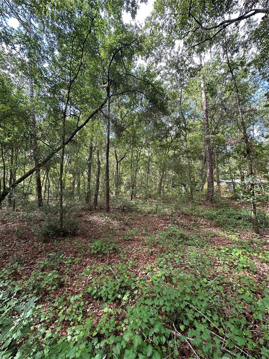 THREE LAKES ESTATE - Land