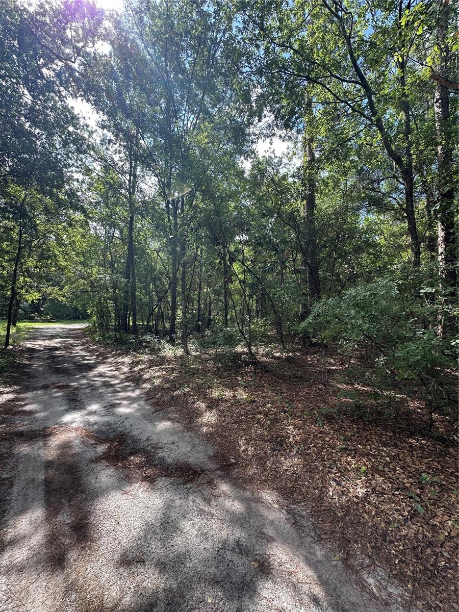 THREE LAKES ESTATE - Land