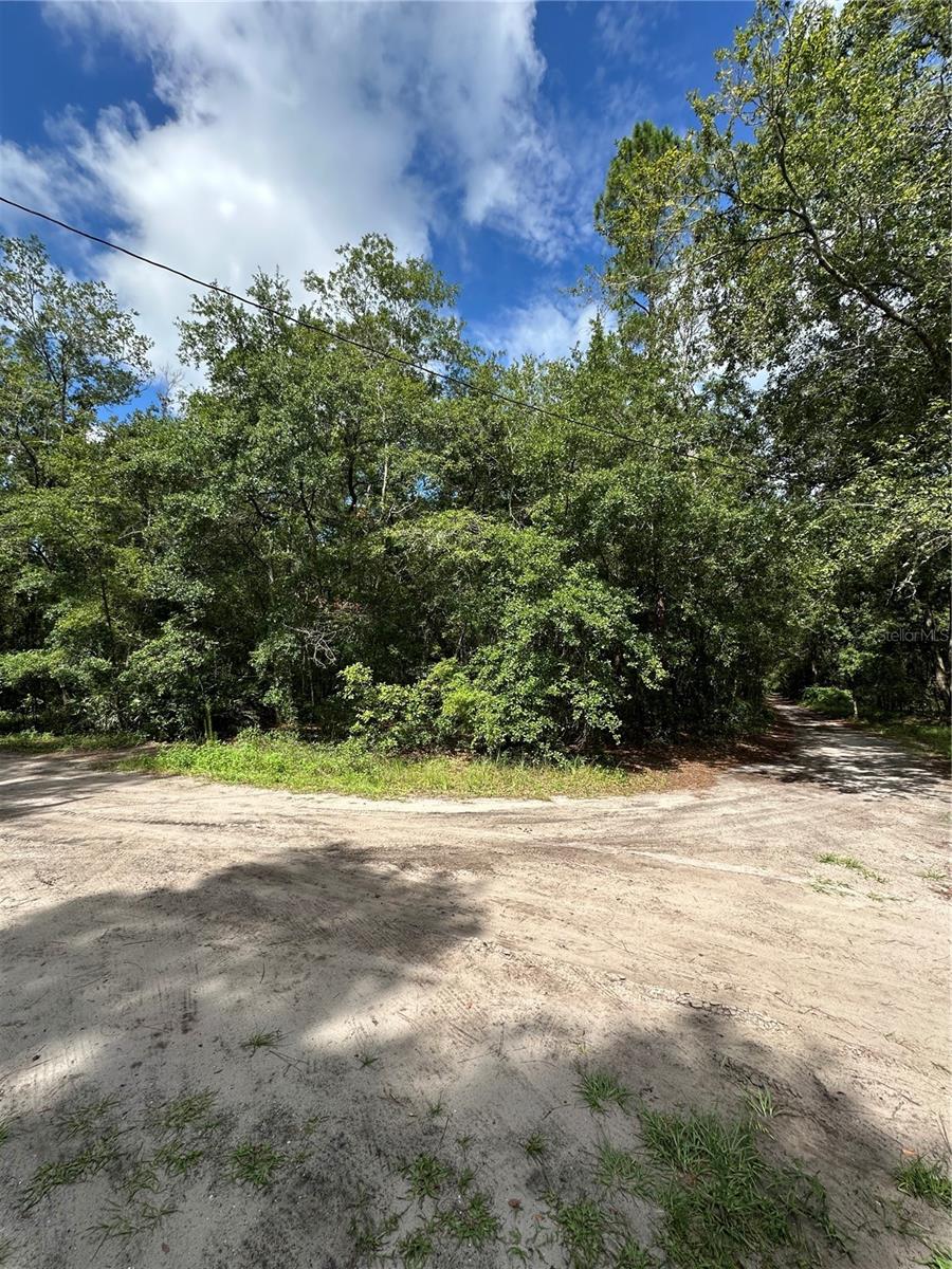Great Three Lakes Estates location located between Fort McCoy and Ornage lake... only one road off of paved county road. Includes beach access and privilege lot in the Island lake area. Don't miss this oversized .34 acre lot with lots of trees and ready for new site built or manufactured home. Located 10 minutes from downtown Fort McCoy with a grocery store, doctor's office, pharmacy, hardware, gas station, pizza, and more. Short drive to Silver Springs which includes Walmart, Lowes, Bealls, Outback and many more of your favorite shopping spots and restaurants. Ocala is only another 10 minutes from Silver Springs with vibrant night life and lots of entertainment options and restaurants. Gainesville(Home of Florida Gators) is only 50 minutes to downtown. If you’re a fisherman, or hunter or simply love hiking, canoeing or kayaking you are in luck! Minutes to Ocklawaha River, Ocala National Forest, and many natural springs(Salt Springs, Silver Glen Springs, Juniper Springs), horseback and walking trails, and off-road vehicle trails await your explorations. One-of-a-kind property and location! Ready for new owners!