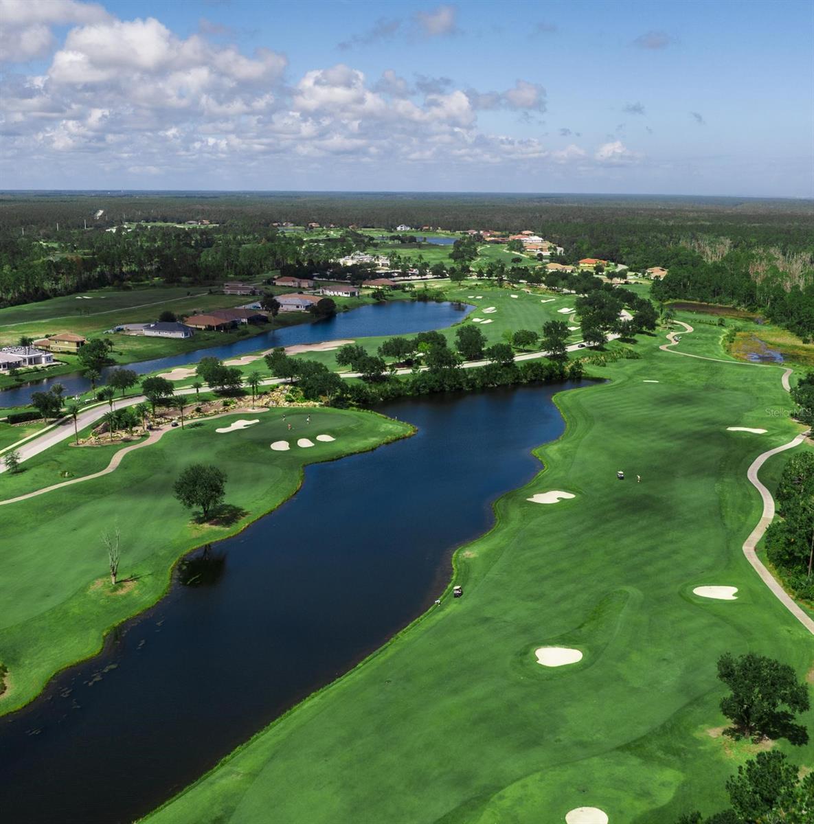 OCEAN HAMMOCK - Residential