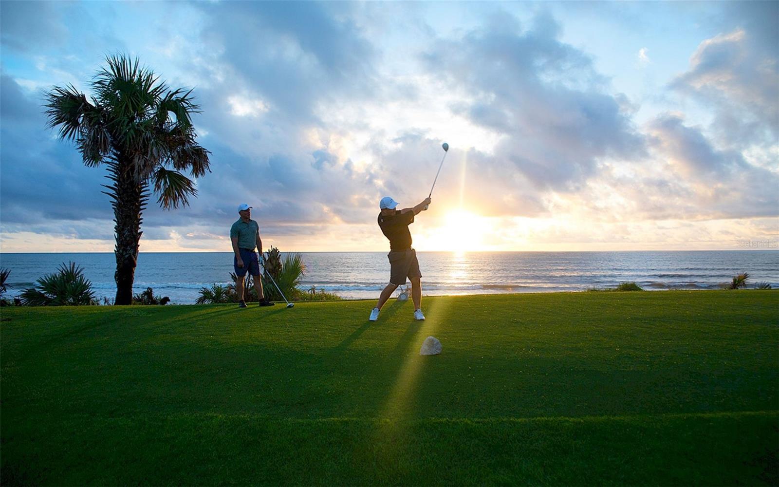 OCEAN HAMMOCK - Residential