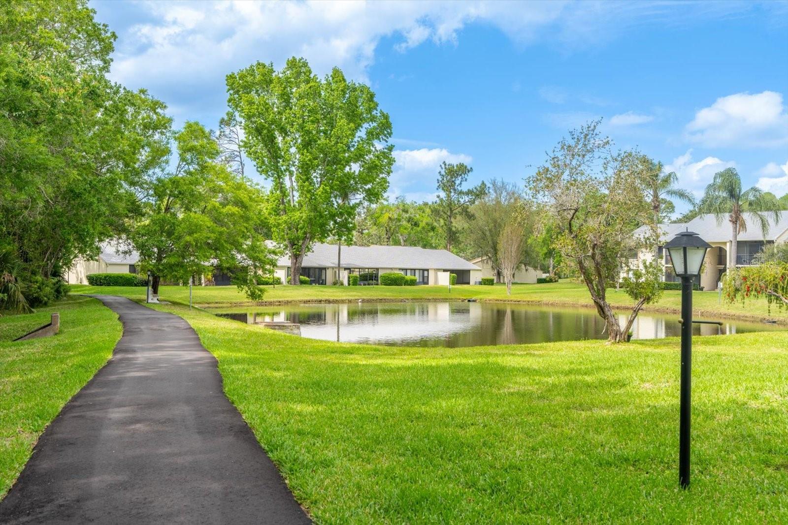 PINE RIDGE AT LAKE TARPON VILLAGE - Residential