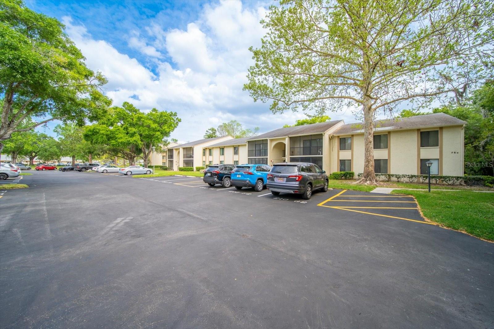 PINE RIDGE AT LAKE TARPON VILLAGE - Residential