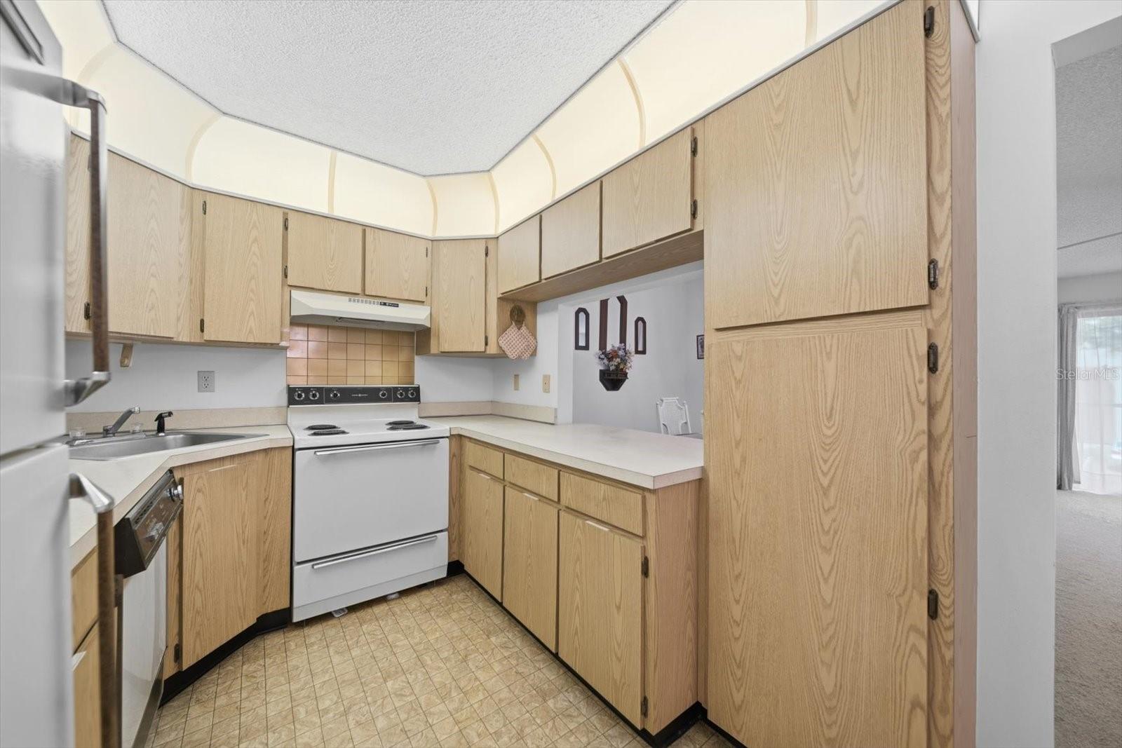 PINE RIDGE AT LAKE TARPON VILLAGE - Residential