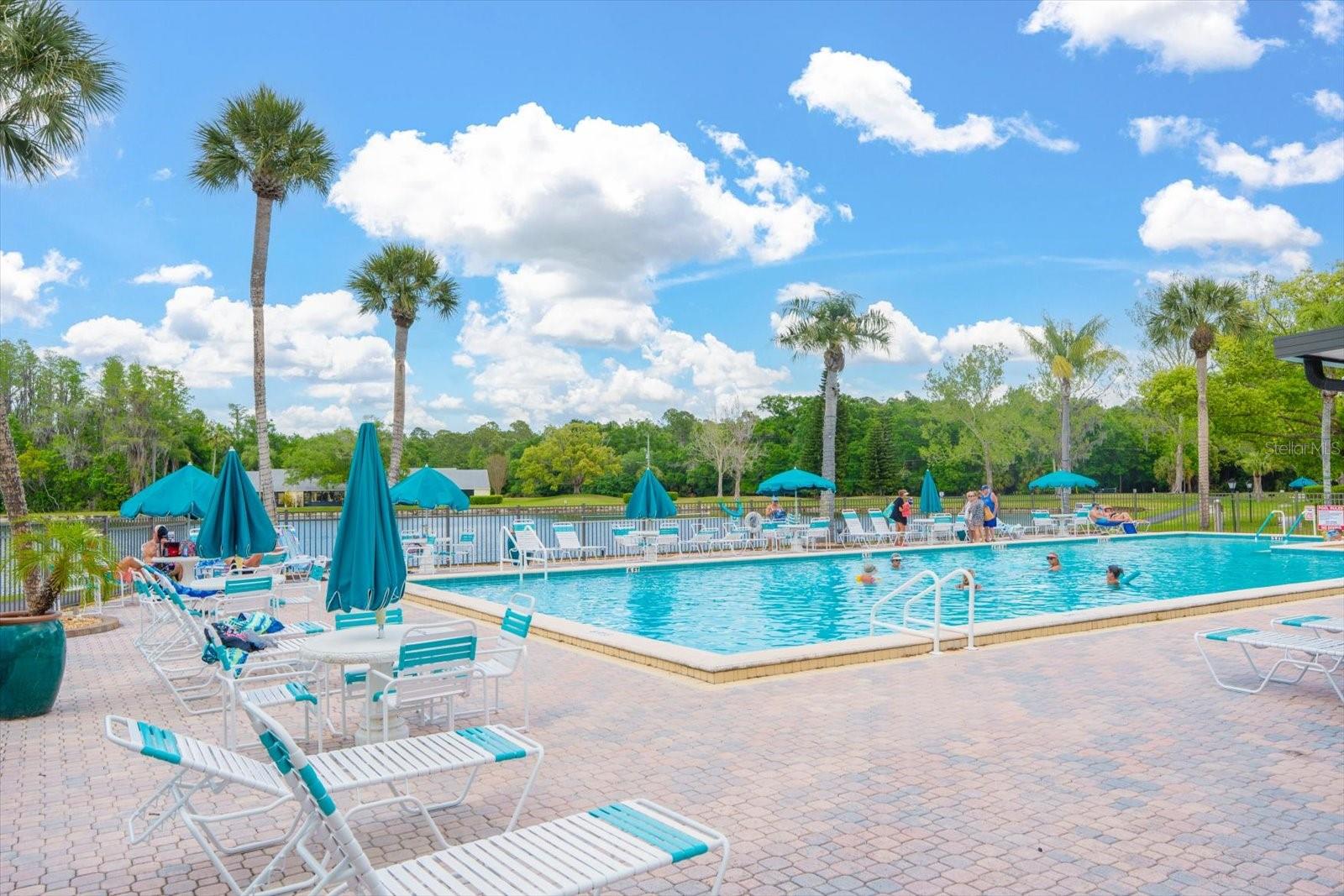 PINE RIDGE AT LAKE TARPON VILLAGE - Residential