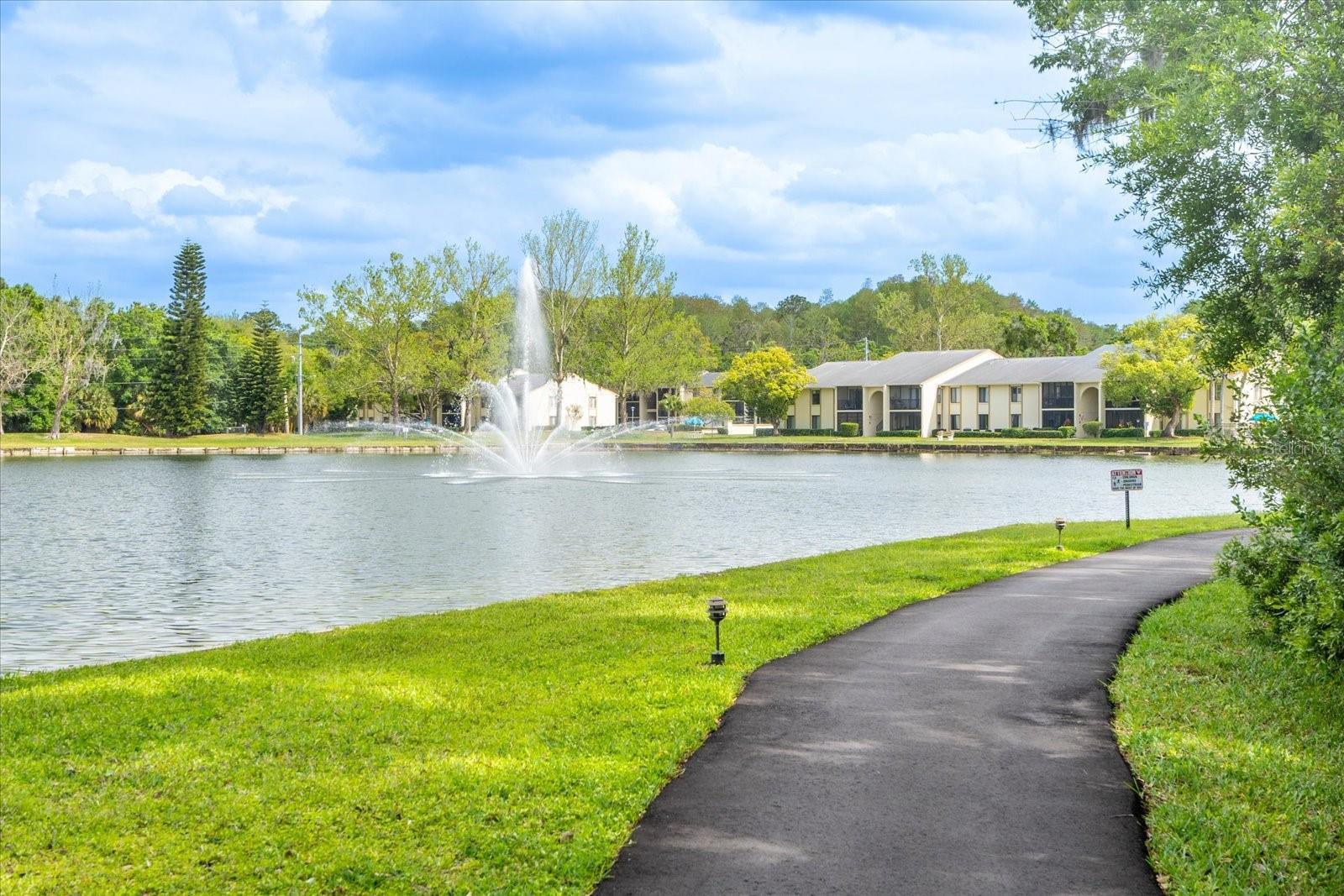 PINE RIDGE AT LAKE TARPON VILLAGE - Residential