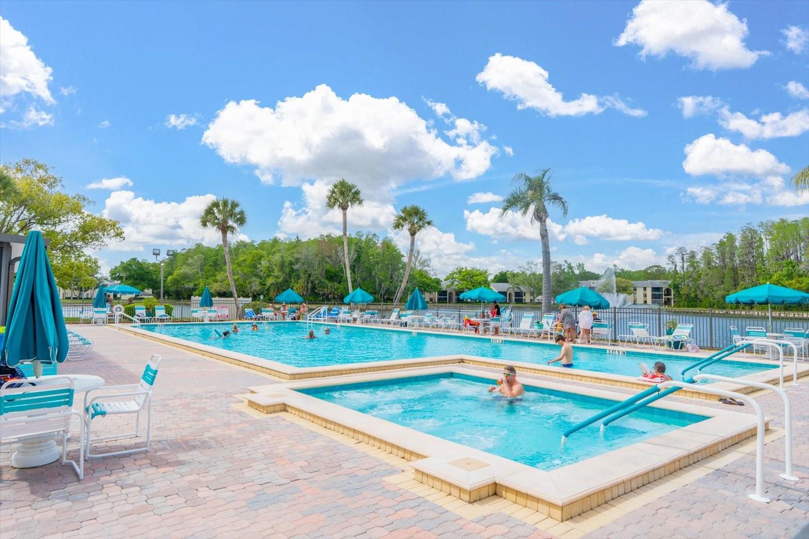 PINE RIDGE AT LAKE TARPON VILLAGE - Residential