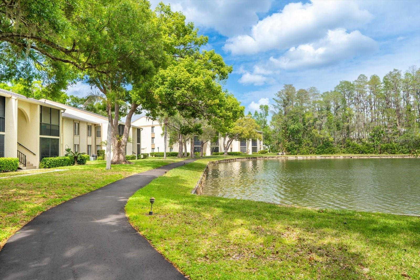 PINE RIDGE AT LAKE TARPON VILLAGE - Residential