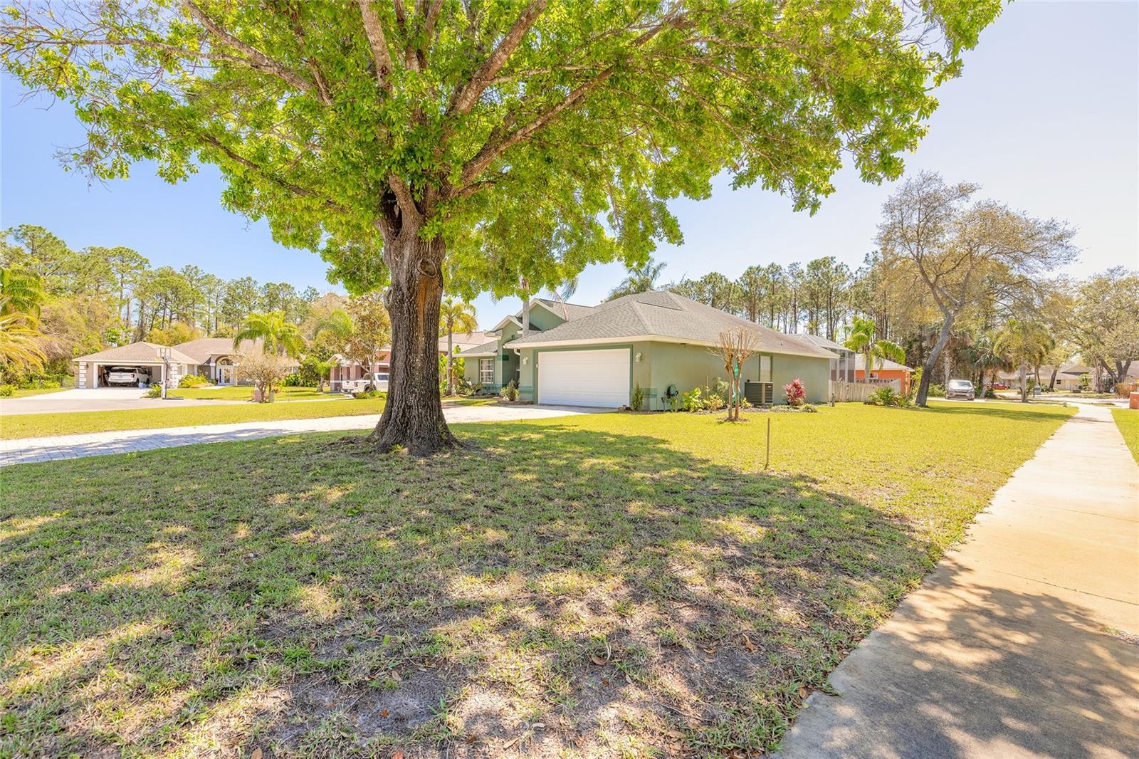 6 GREENVALE DRIVE