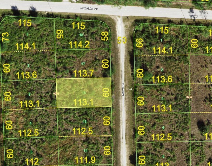 South Punta Gorda lot, located on a peaceful road in Tropical Gulf Acres, is the perfect spot to build your dream home. The property measures 60x114 feet, offering 6,805 square feet of space with 60 feet of road frontage. It's a highly sought-after lot with no deed restrictions, giving you plenty of flexibility and is not in a Scrub Jay Zone. Conveniently located just 10 miles from Ponce De Leon Park and its boat ramp, and only 8 miles from Downtown Punta Gorda, which offers an abundance of shopping and dining options. Fort Myers is a short 20-minute drive away, and Sarasota is less than an hour. For golf lovers, several courses are within 30 minutes, and for boating and fishing enthusiasts, Charlotte Harbor offers some of the best opportunities in Florida. Spring training facilities for the Rays, Red Sox, Orioles, Twins, and Braves are all within an hour's drive, making this location even more appealing. Priced to sell quickly, this is an excellent opportunity for investors or anyone looking for a prime piece of property in a desirable area.
