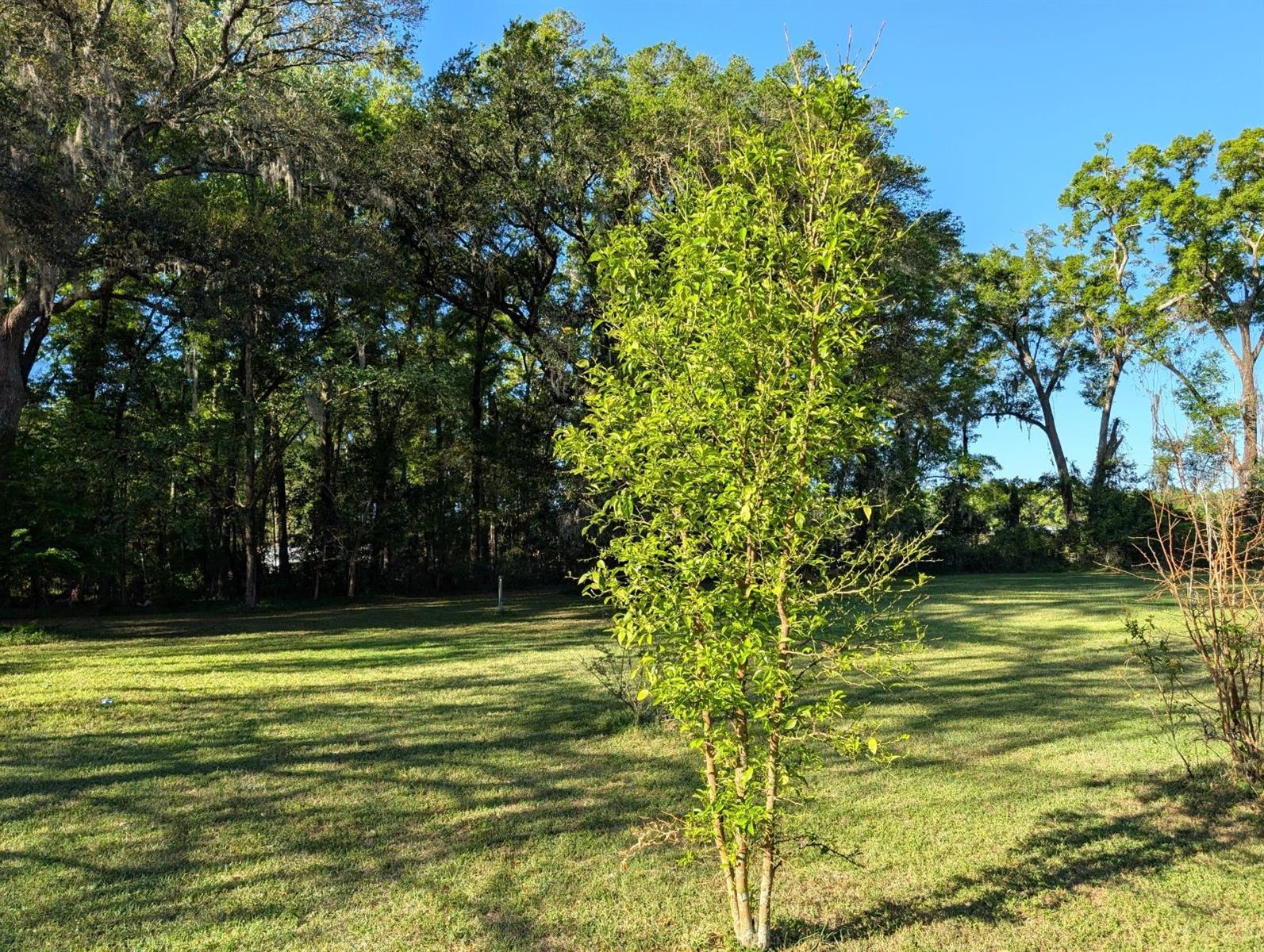 NOT IN A SUBDIVISION - Residential