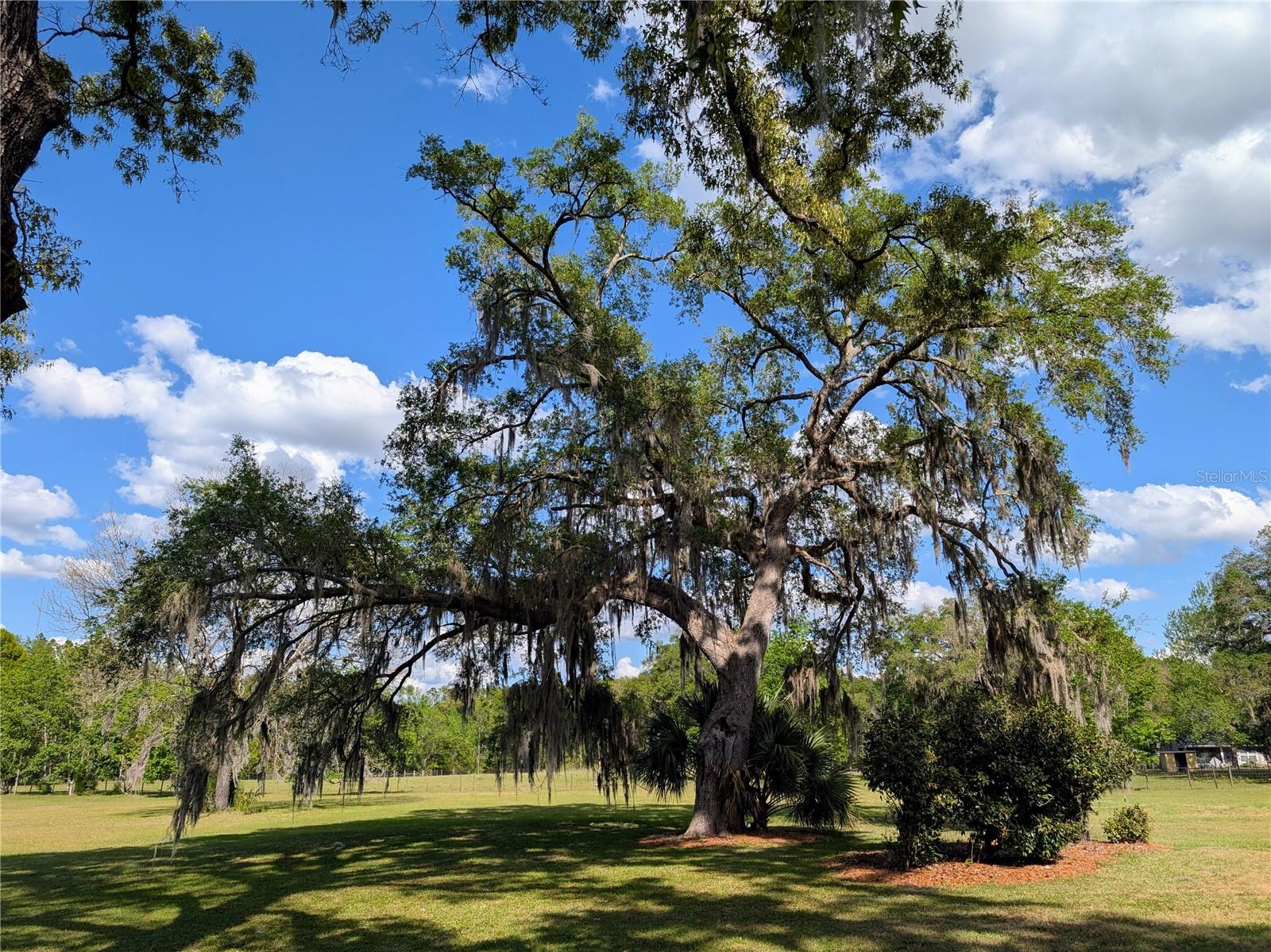 NOT IN A SUBDIVISION - Residential