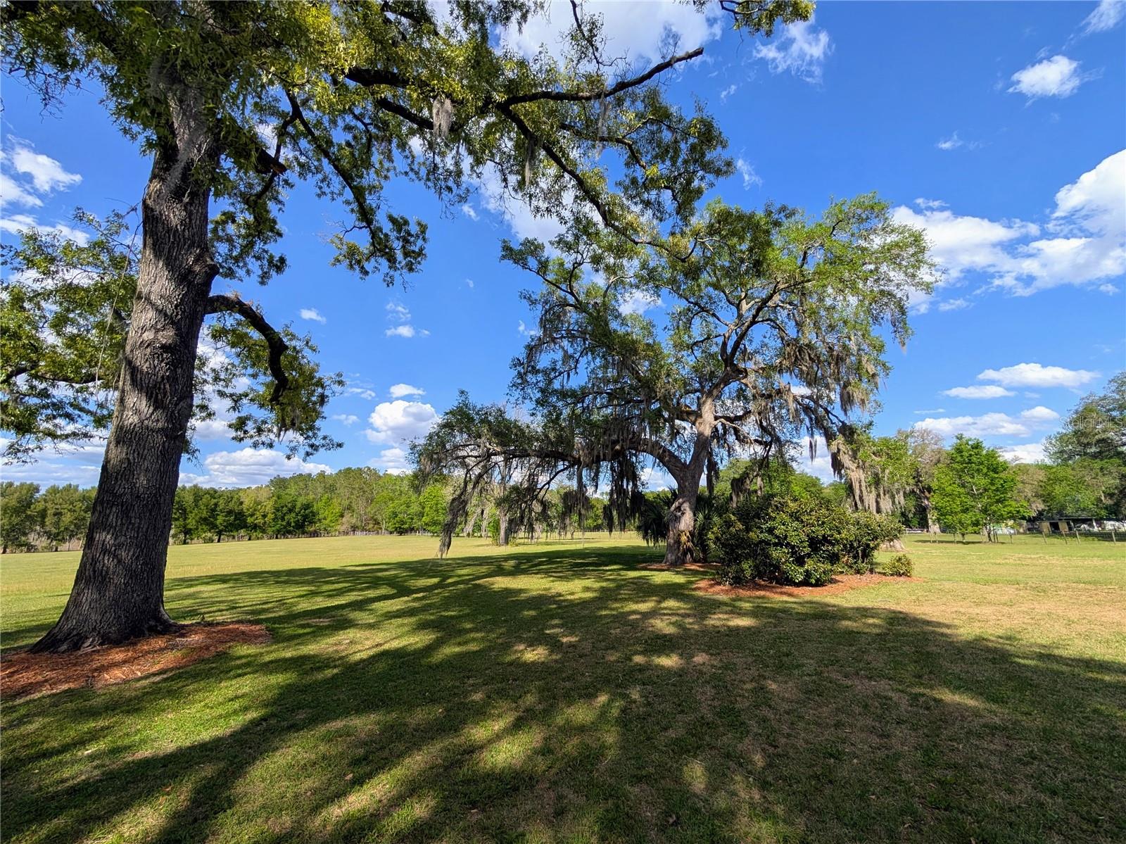 NOT IN A SUBDIVISION - Residential