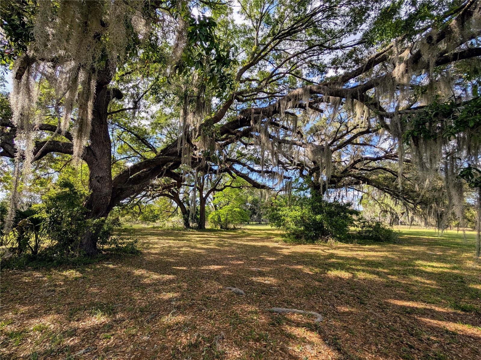 NOT IN A SUBDIVISION - Residential