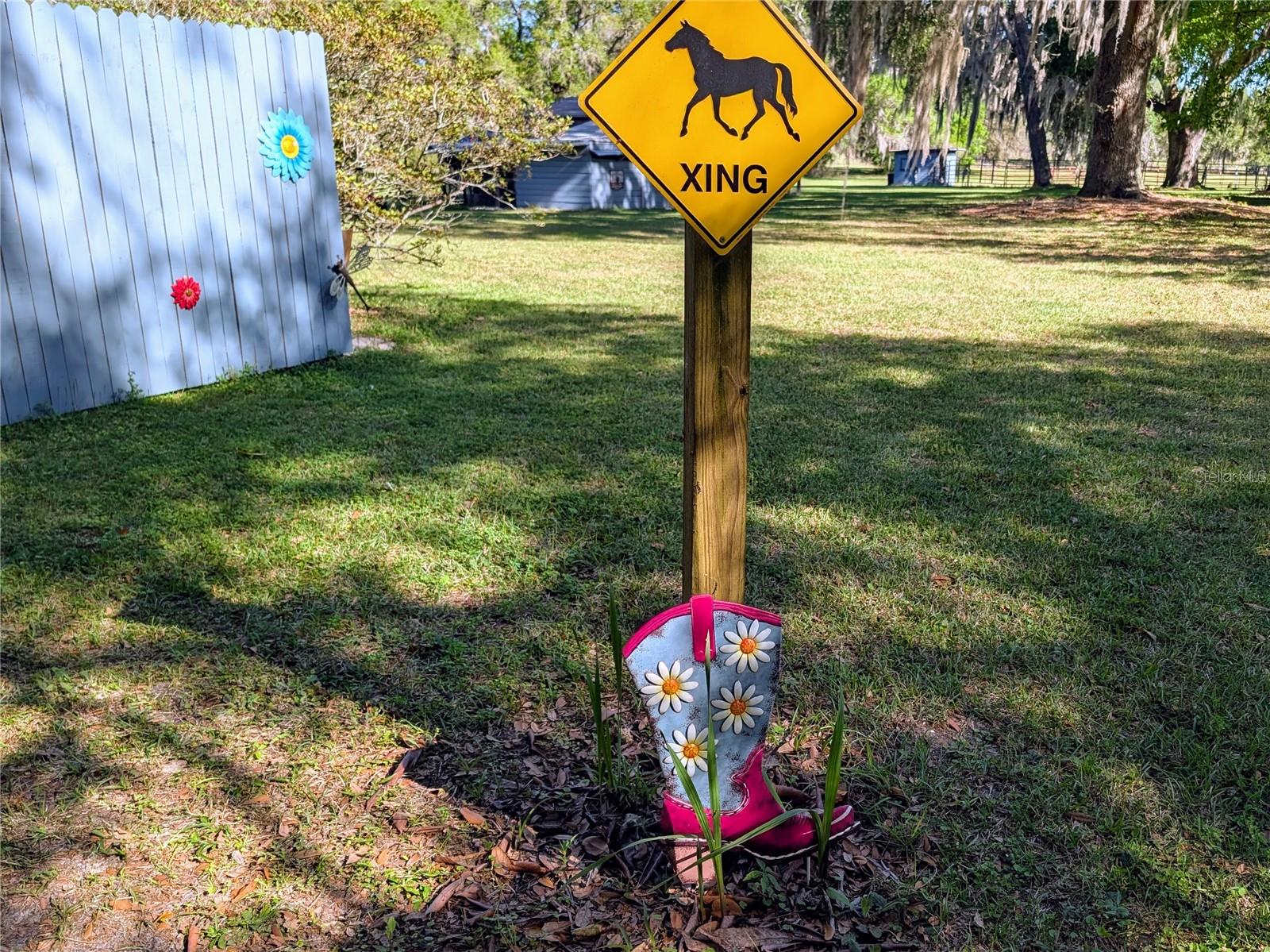 NOT IN A SUBDIVISION - Residential