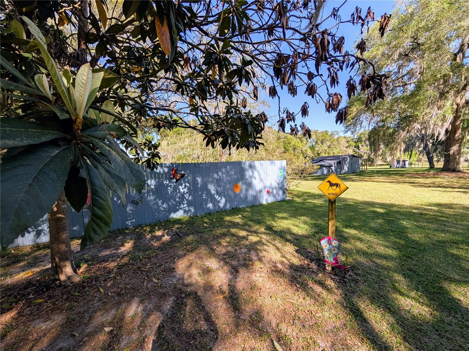 NOT IN A SUBDIVISION - Residential