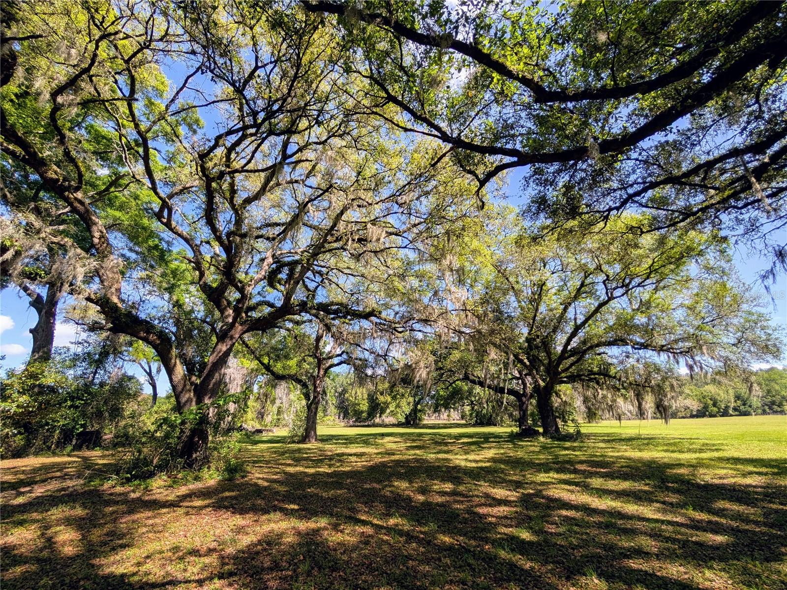 NOT IN A SUBDIVISION - Residential