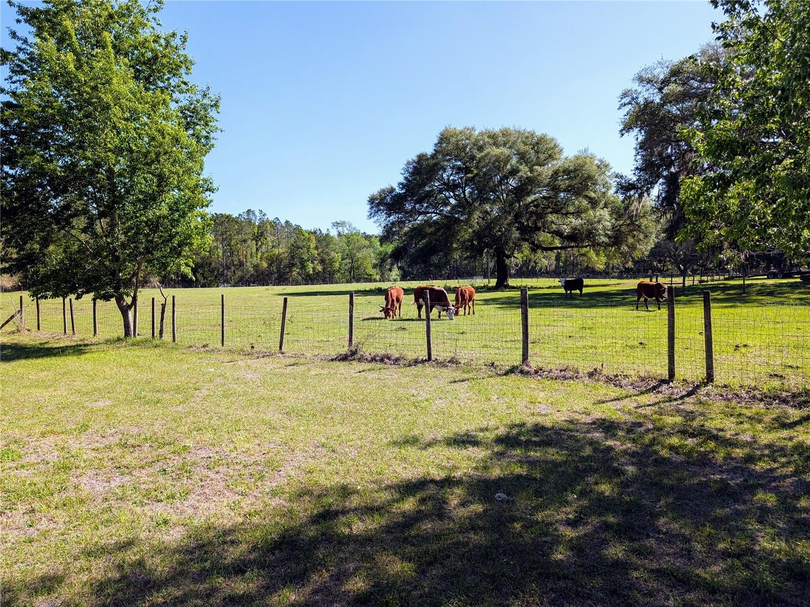 NOT IN A SUBDIVISION - Residential