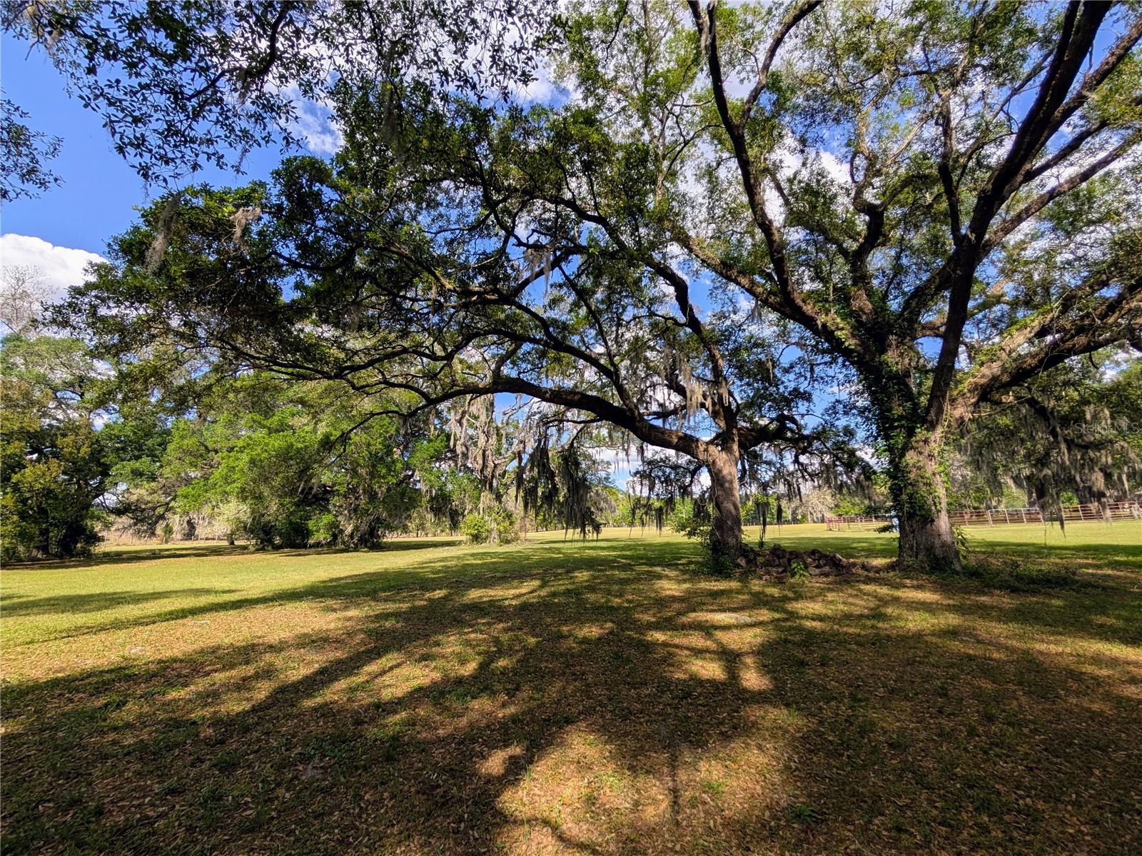 NOT IN A SUBDIVISION - Residential