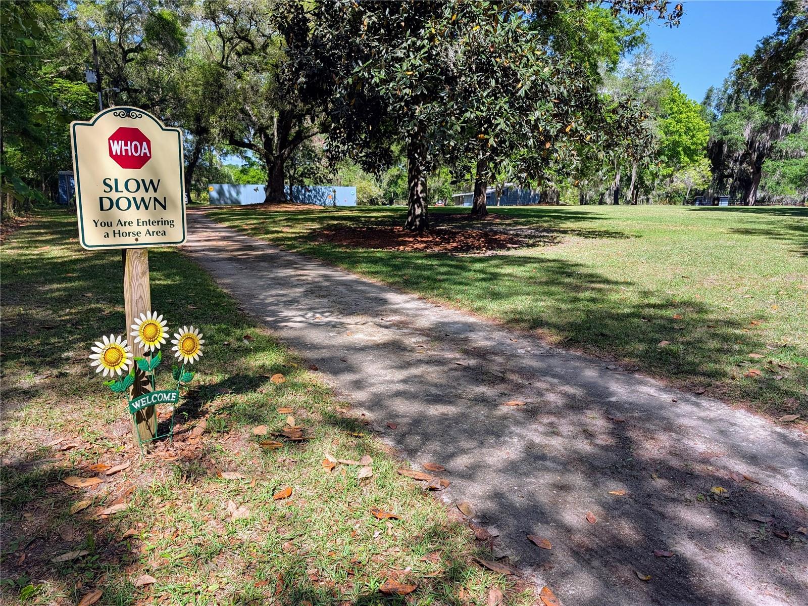 NOT IN A SUBDIVISION - Residential