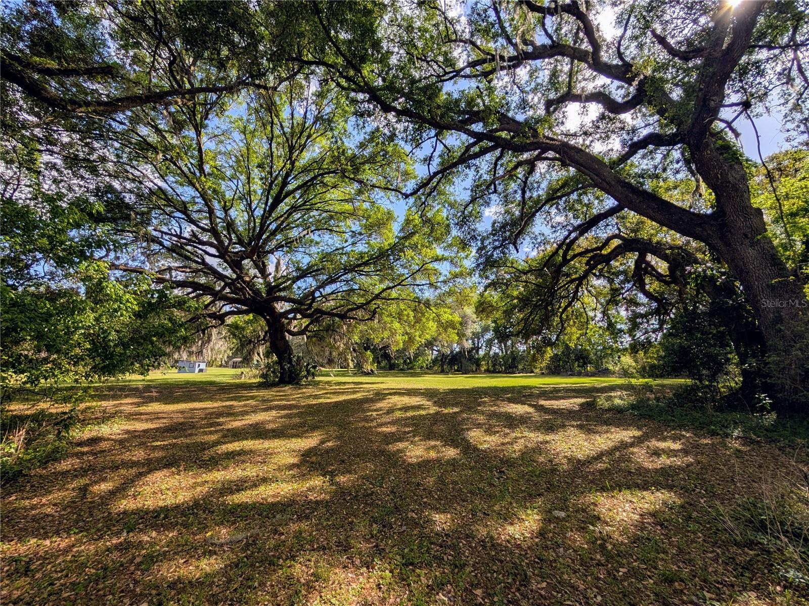 NOT IN A SUBDIVISION - Residential