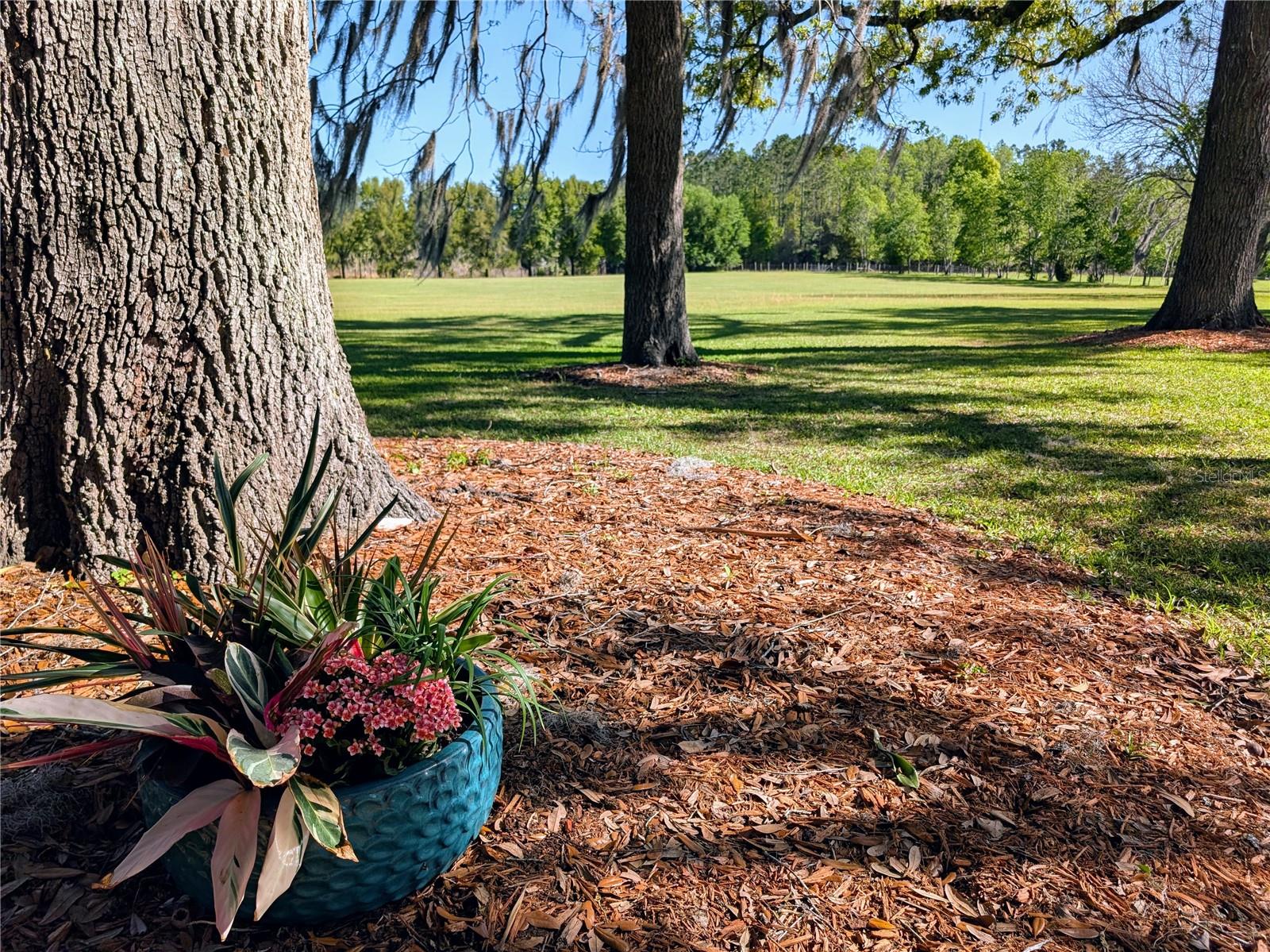 NOT IN A SUBDIVISION - Residential