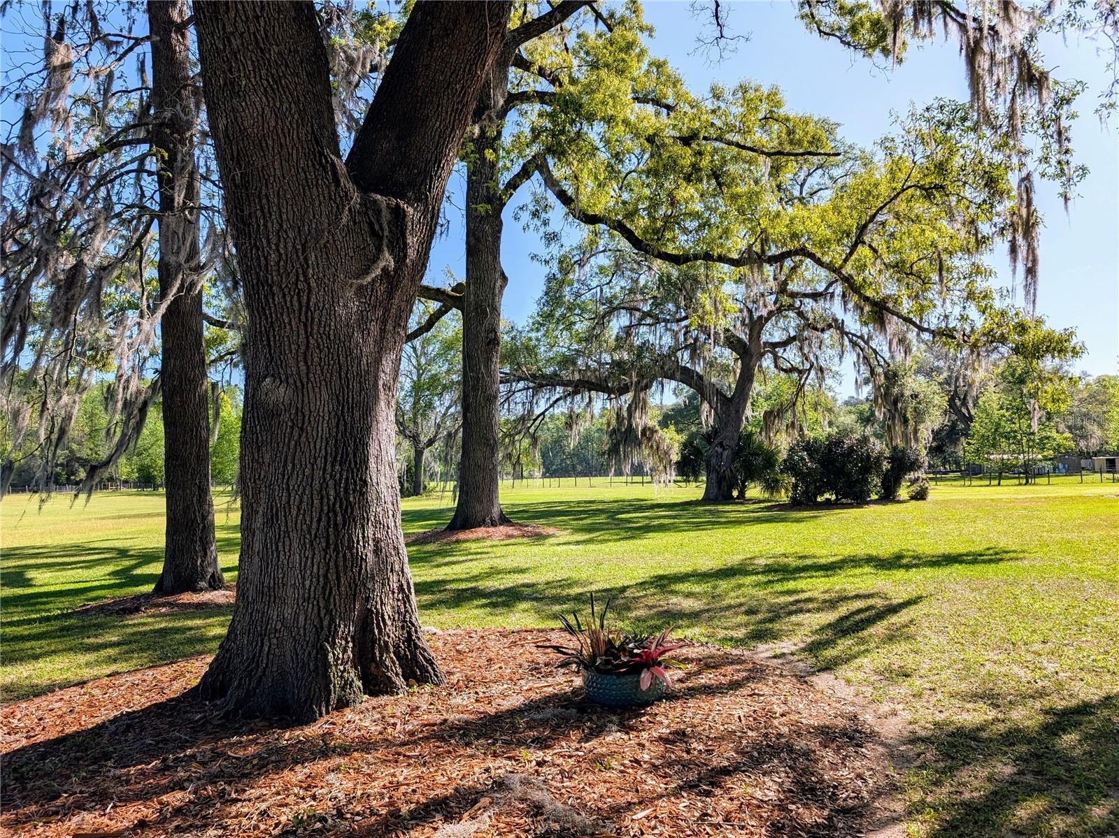 NOT IN A SUBDIVISION - Residential