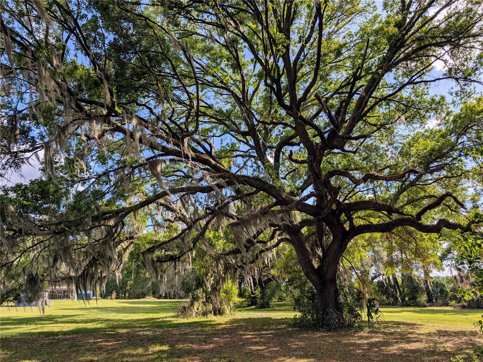 NOT IN A SUBDIVISION - Residential