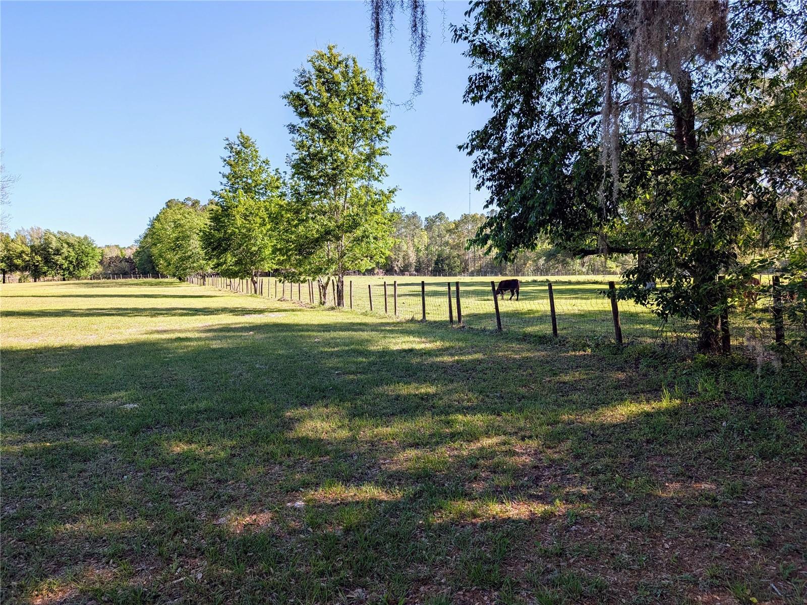 NOT IN A SUBDIVISION - Residential