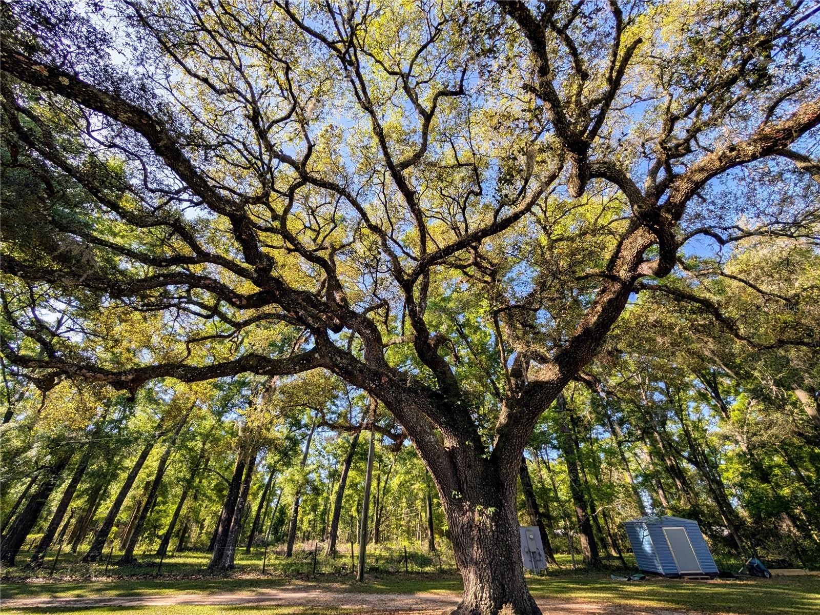 NOT IN A SUBDIVISION - Residential