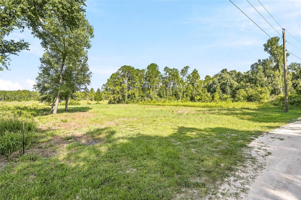 Photo of 100 Berryhill Drive, Webster, FL 33597 (MLS # W7887333)