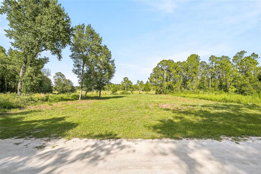 Photo of 100 Berryhill Drive, Webster, FL 33597 (MLS # W7887333)