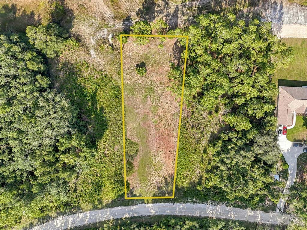 Photo of 100 Berryhill Drive, Webster, FL 33597 (MLS # W7887333)