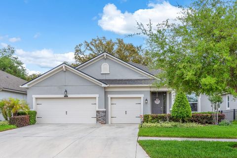 Photo of 11404 Blue Woods Drive, Riverview, FL 33569 (MLS # TB8493810)