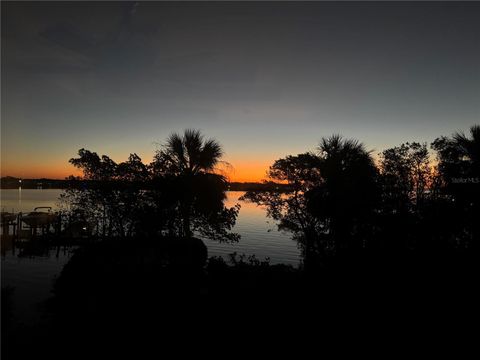 Photo of 24 Mangrove Point, St Petersburg, FL 33705 (MLS # TB8432710)