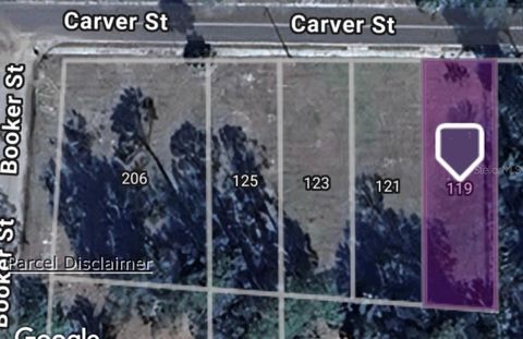 Photo of 119 Carver Street, Palatka, FL 32177 (MLS # OM714025)