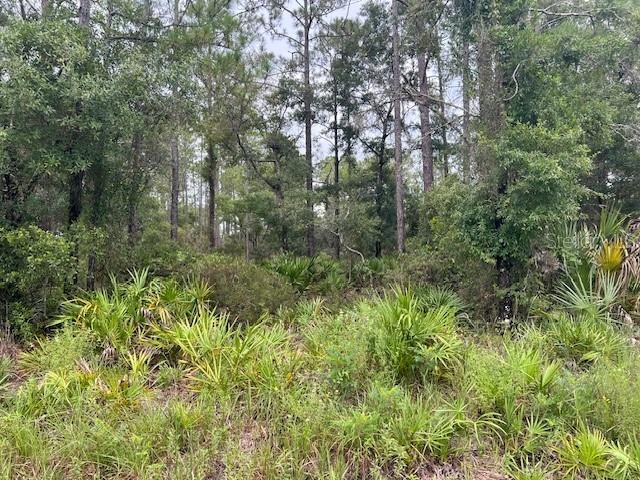 Just minutes from U.S. Highway 19, situates this corner lot striking an ideal balance between convenience and tranquility. You have easy access to local amenities, shops, eateries, and scenic outdoor activities, making it especially appealing. You also have an abundance of native trees, and wildlife—providing a calm, countryside vibe while still being a short drive from downtown Crystal River. Residents benefit from being only minutes to Lake Rousseau Boat Ramp—perfect for year round access to boating and fishing. This location is primed for home building. Come build your dream house! Equal Housing Opportunity.