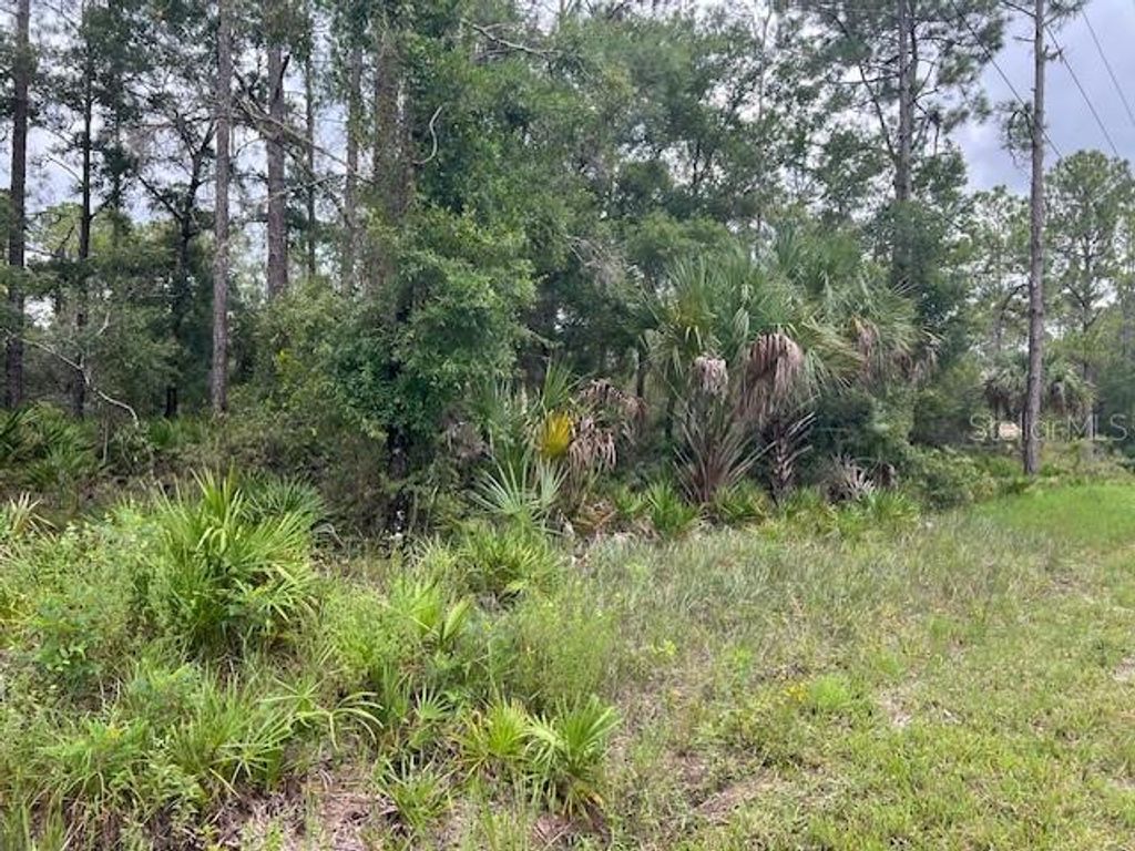 Photo of 11297 W Cornflower Dr, Crystal River, FL 34428 (MLS # G5101586)