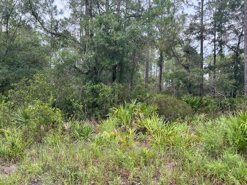 Photo of 11297 W Cornflower Dr, Crystal River, FL 34428 (MLS # G5101586)