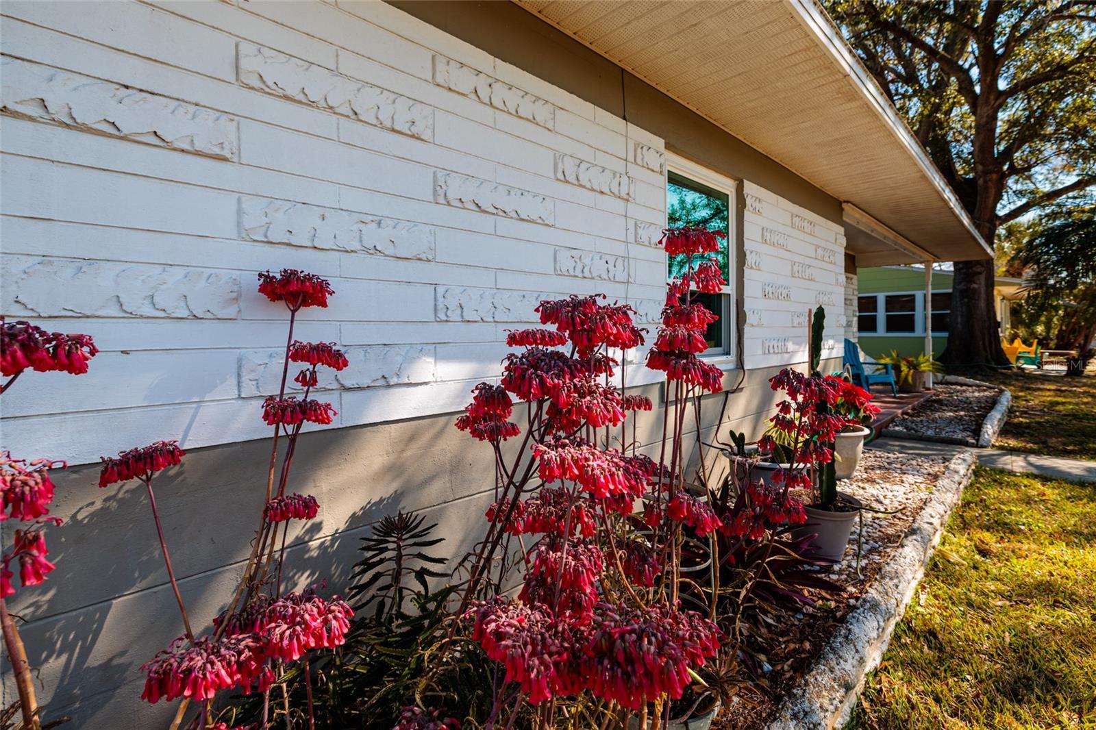 PASADENA ON THE GULF SEC C - Residential