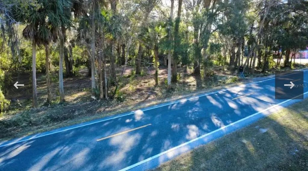 Photo of 8549 S Magnolia Avenue, Ocala, FL 34476 (MLS # L4959444)