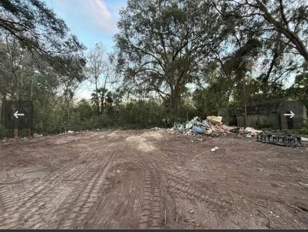 Photo of 8549 S Magnolia Avenue, Ocala, FL 34476 (MLS # L4959444)