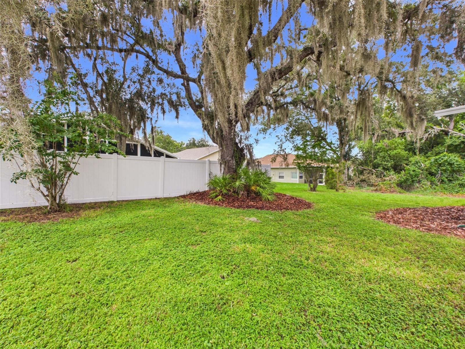 35601 WICKINGHAM COURT