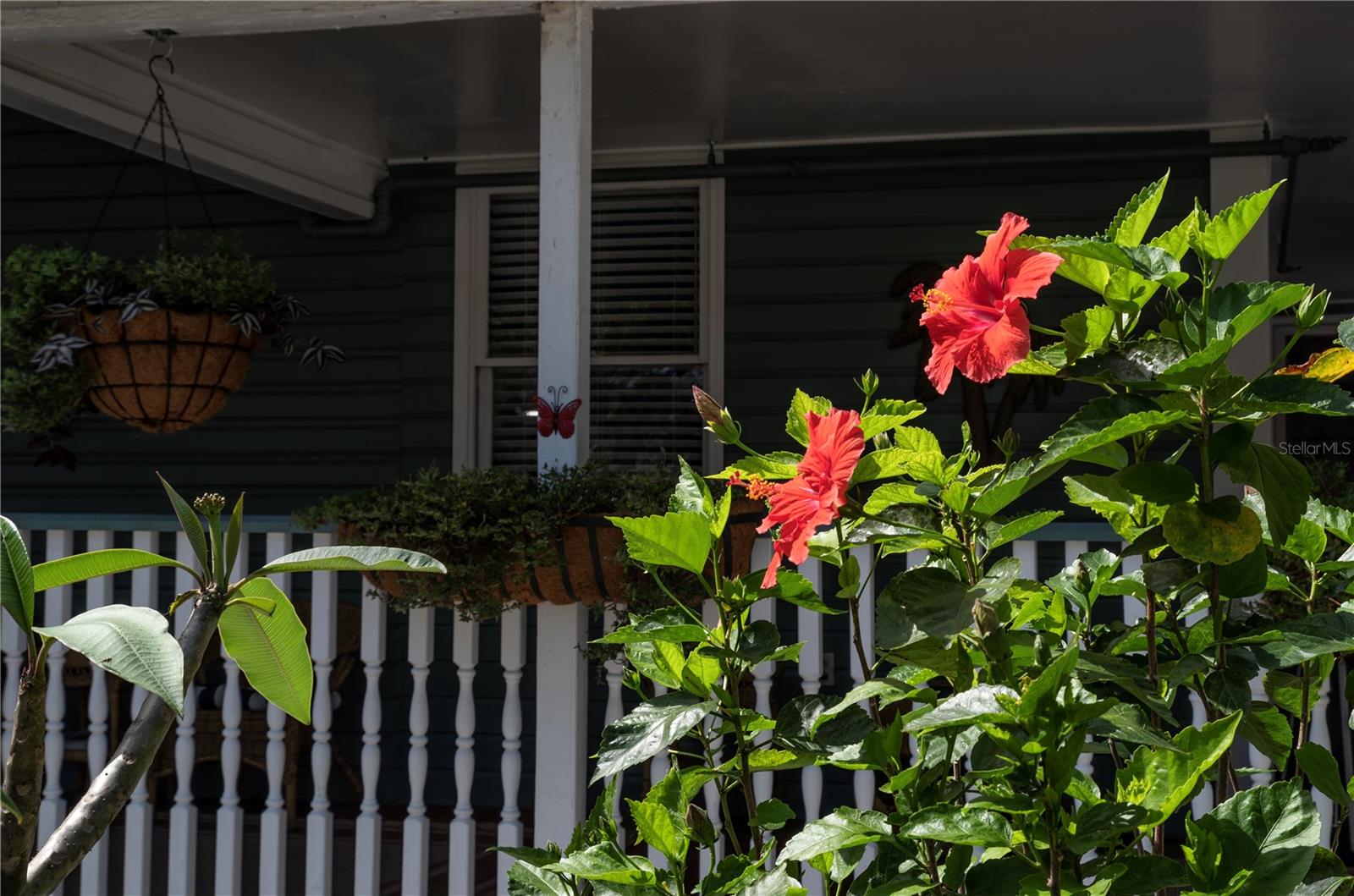 H G H REEDS ADD TO BRAIDENTOWN - Commercial Sale