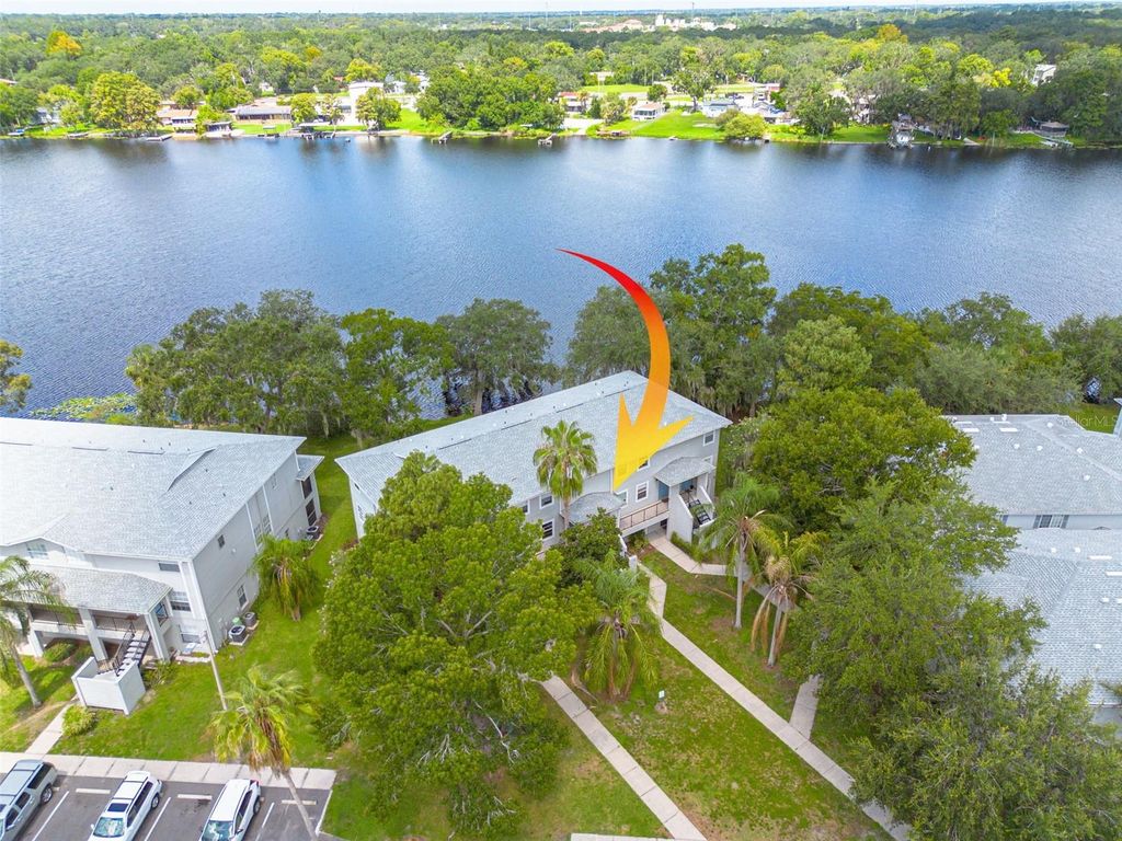 Photo of 7238 E Bank Drive #104, Tampa, FL 33617 (MLS # TB8413917)