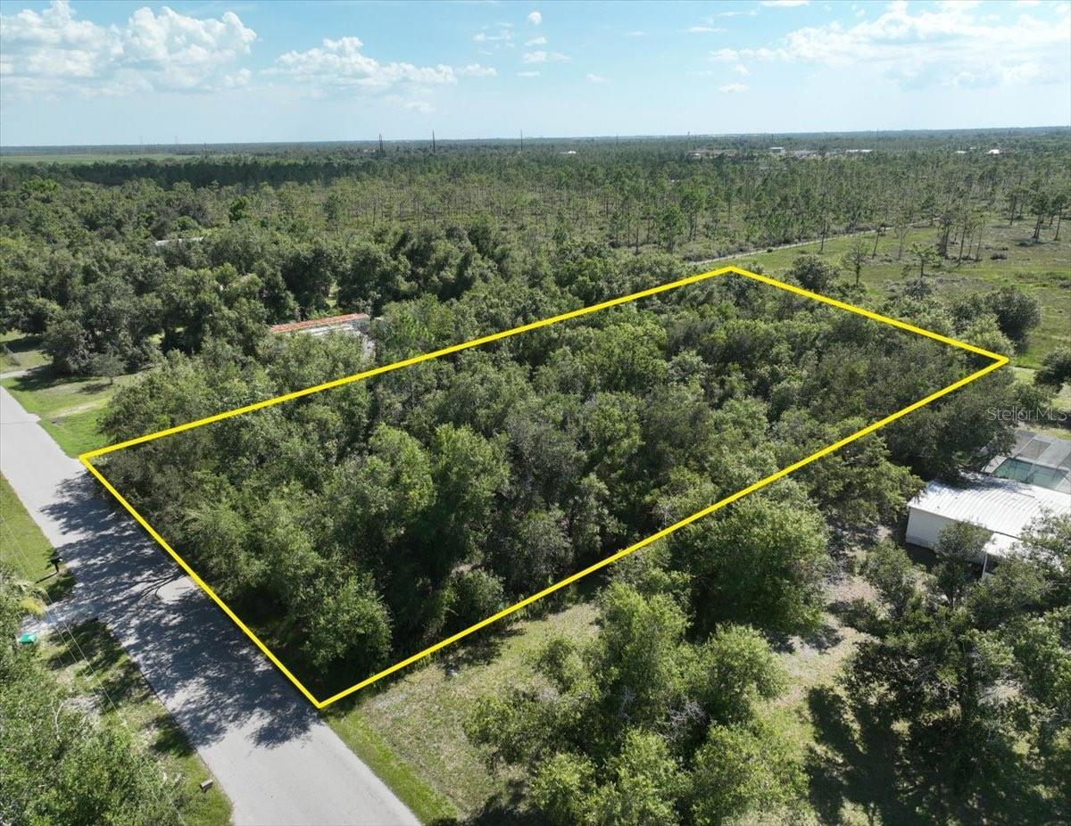 5741 SWAYING PALM DRIVE