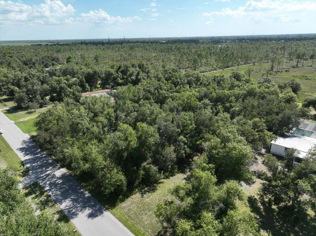 Photo of 5741 Swaying Palm Drive, Punta Gorda, FL 33982 (MLS # O6369875)